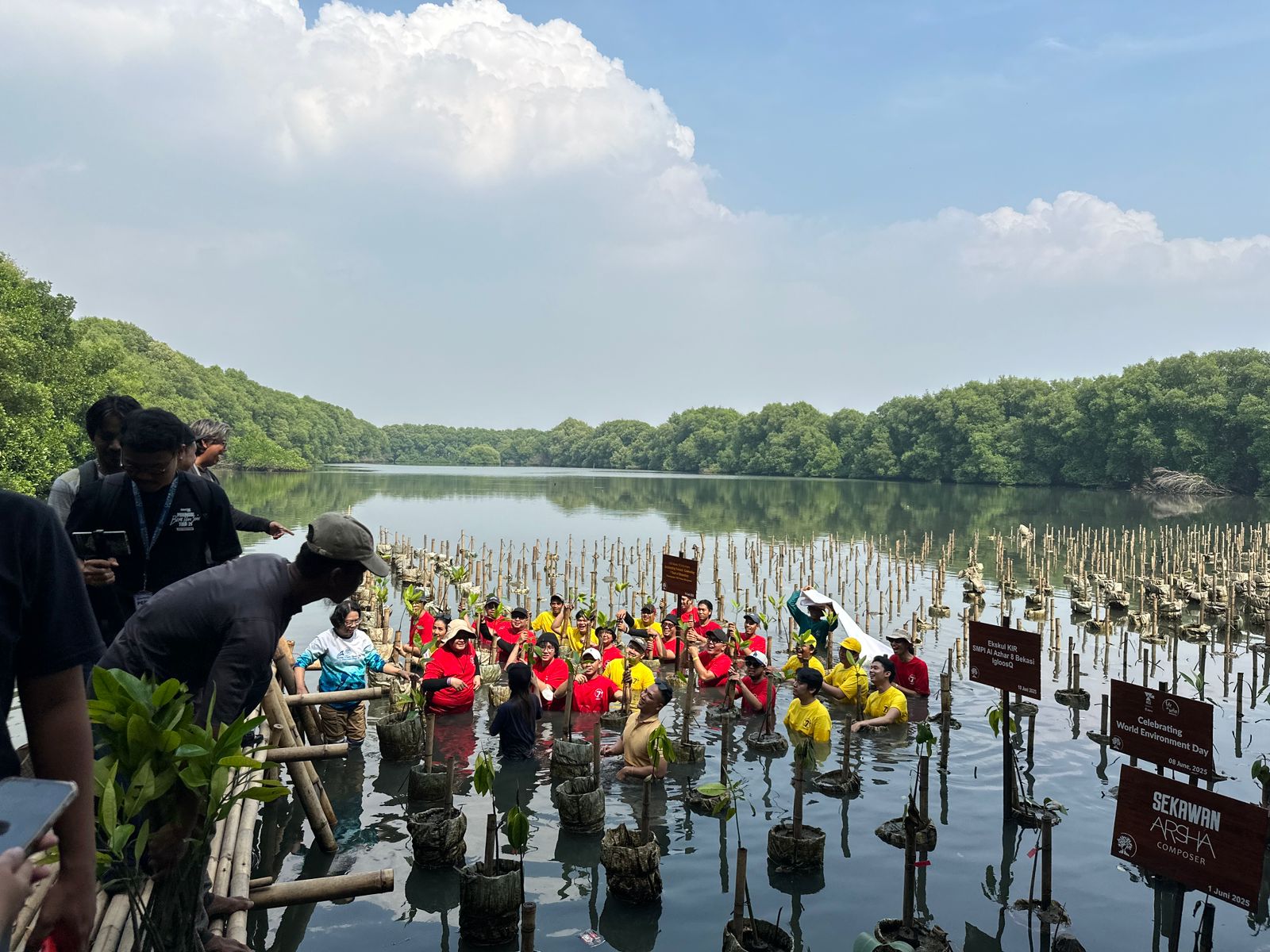 Maxim Indonesia Gaet Kementerian Lingkungan Tanam 700 Bibit Mangrove
